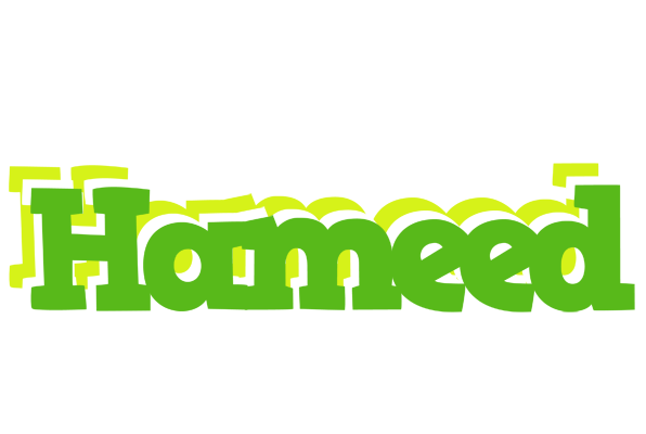 Hameed picnic logo