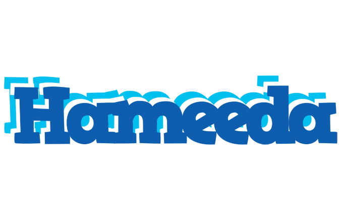 Hameeda business logo