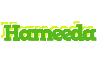 Hameeda picnic logo