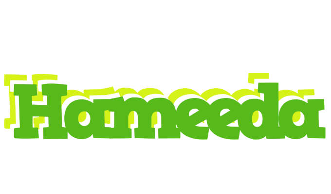 Hameeda picnic logo