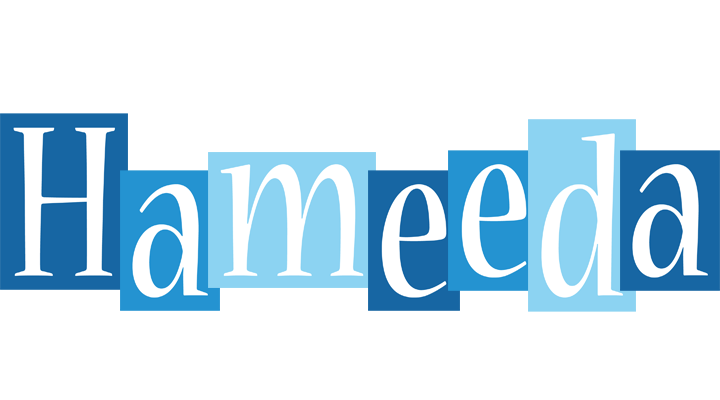 Hameeda winter logo