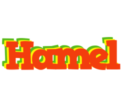 Hamel bbq logo