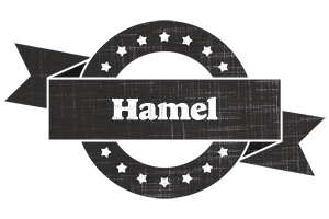 Hamel grunge logo