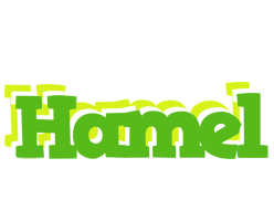 Hamel picnic logo