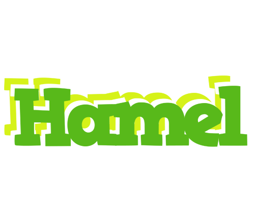 Hamel picnic logo