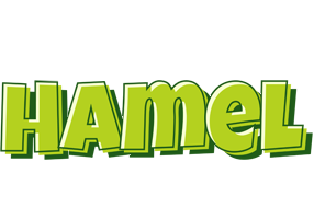 Hamel summer logo