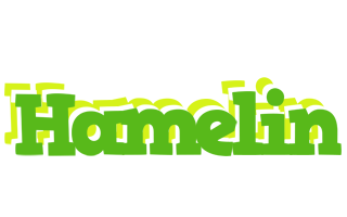 Hamelin picnic logo