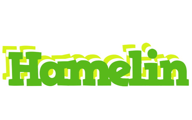 Hamelin picnic logo