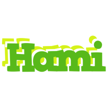 Hami picnic logo