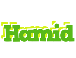 Hamid picnic logo