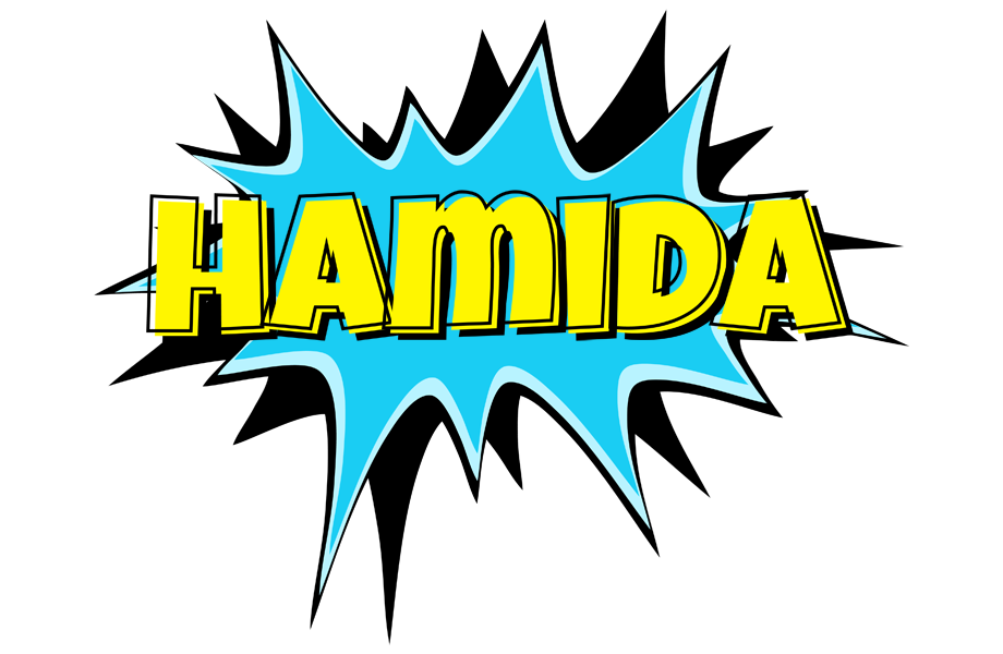 Hamida amazing logo