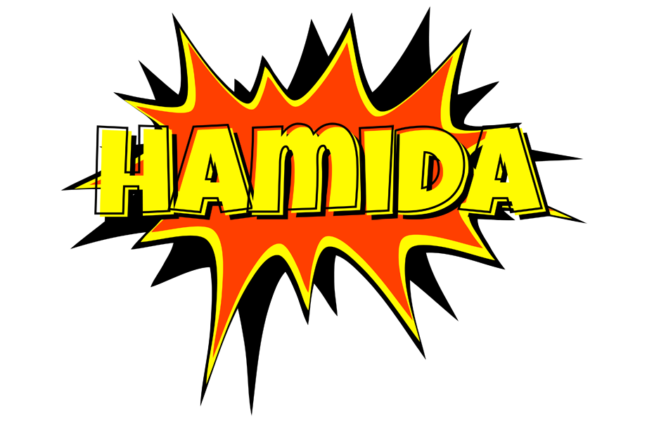Hamida bazinga logo