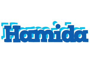 Hamida business logo
