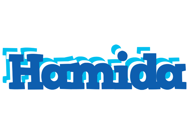Hamida business logo