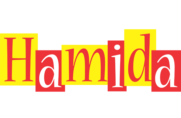Hamida errors logo