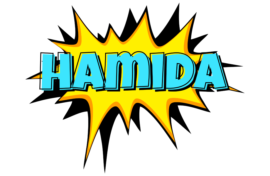 Hamida indycar logo