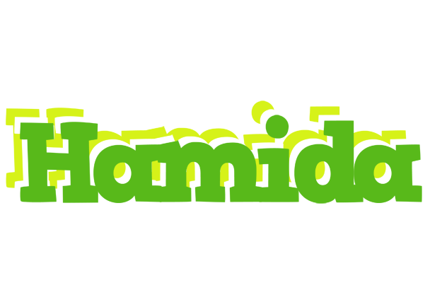 Hamida picnic logo