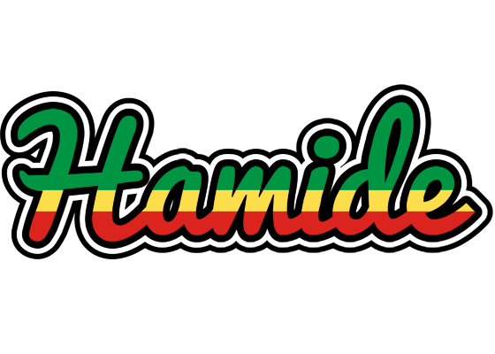 Hamide african logo