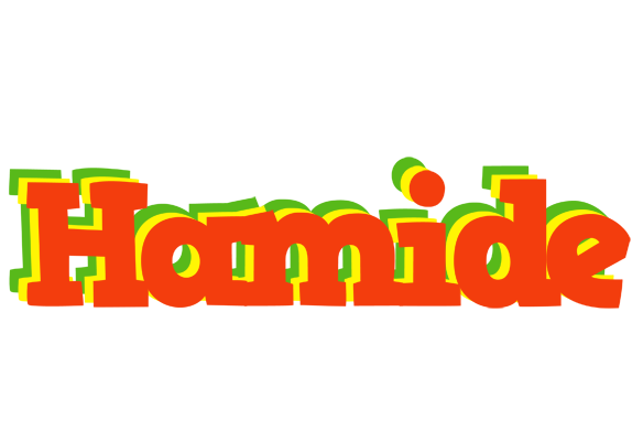 Hamide bbq logo
