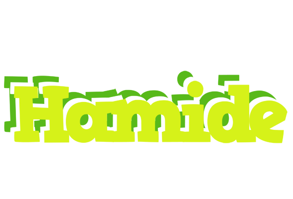 Hamide citrus logo