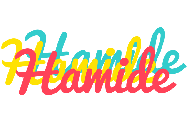 Hamide disco logo