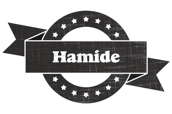 Hamide grunge logo