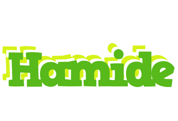 Hamide picnic logo