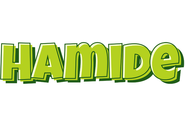 Hamide summer logo
