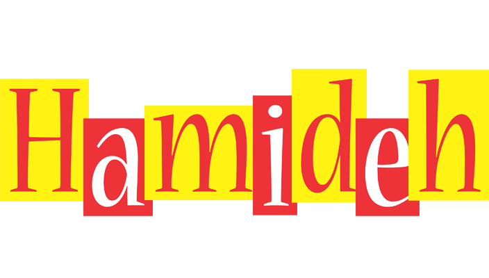Hamideh errors logo