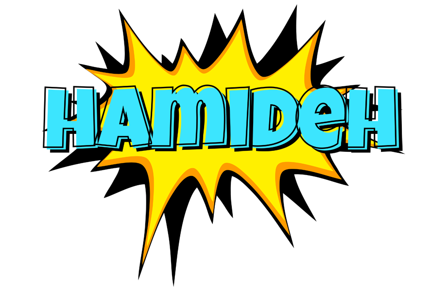 Hamideh indycar logo
