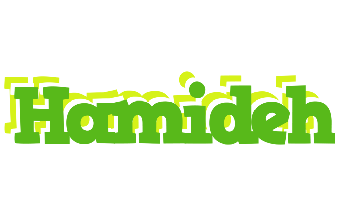 Hamideh picnic logo