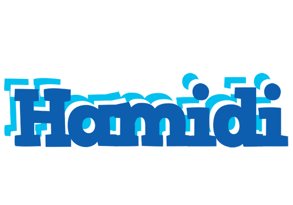 Hamidi business logo