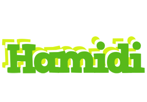 Hamidi picnic logo