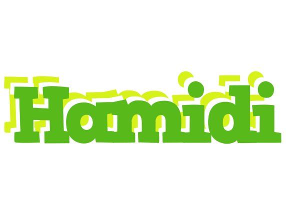 Hamidi picnic logo