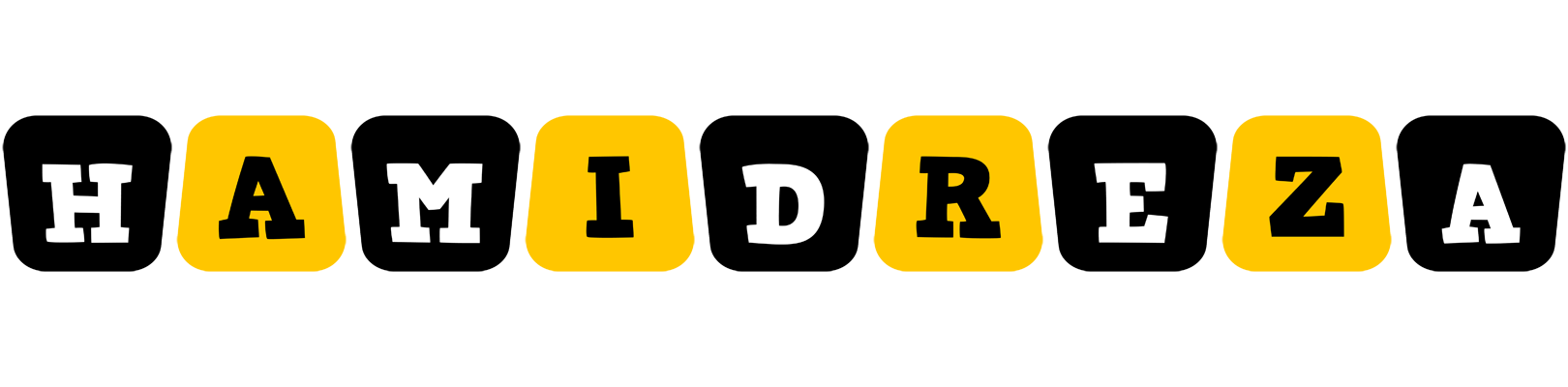 Hamidreza boots logo