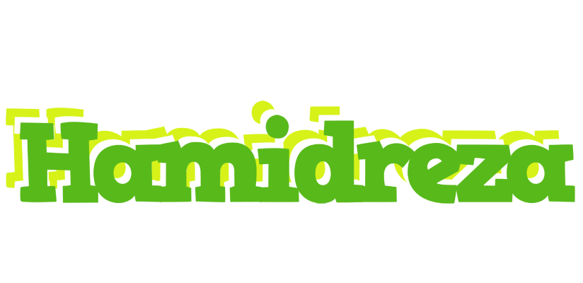Hamidreza picnic logo
