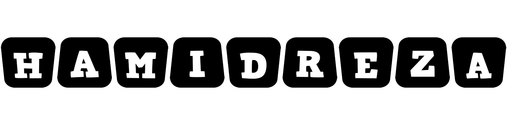 Hamidreza racing logo