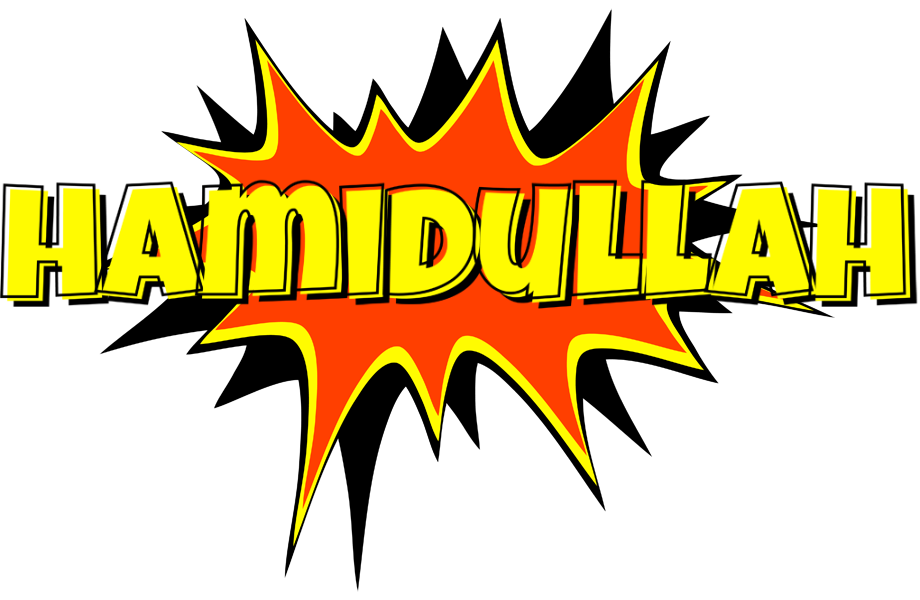 Hamidullah bazinga logo
