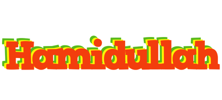 Hamidullah bbq logo