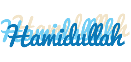 Hamidullah breeze logo