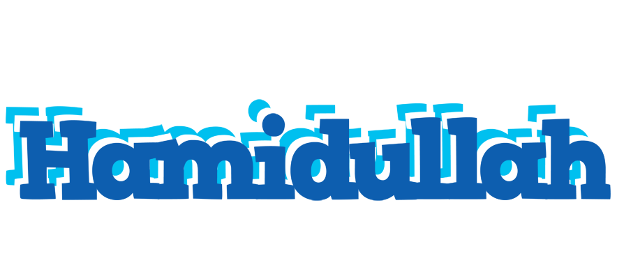 Hamidullah business logo