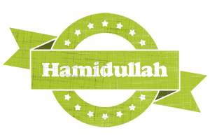 Hamidullah change logo