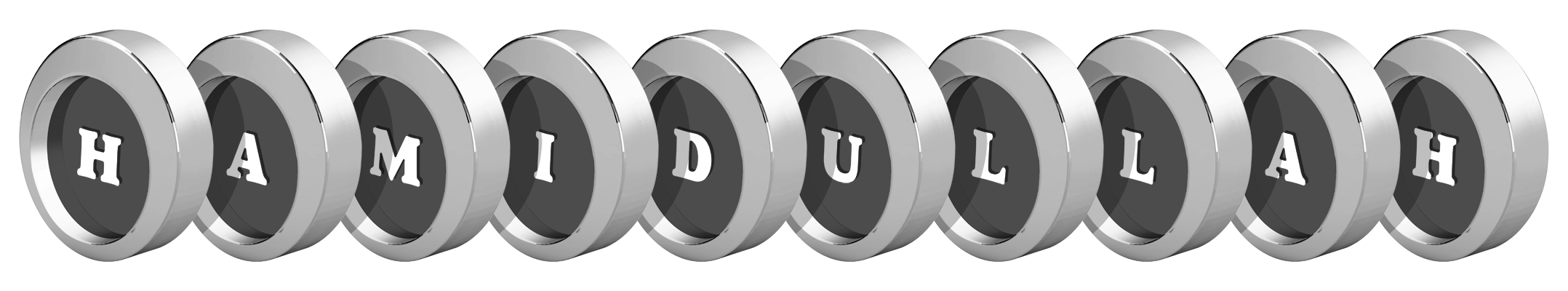 Hamidullah coins logo