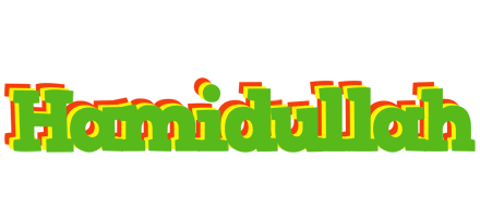 Hamidullah crocodile logo