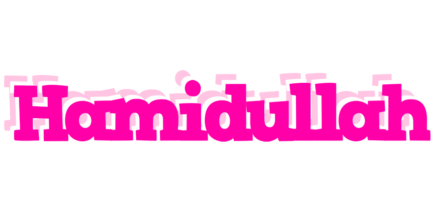 Hamidullah dancing logo