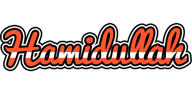 Hamidullah denmark logo