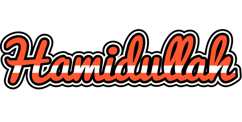 Hamidullah denmark logo
