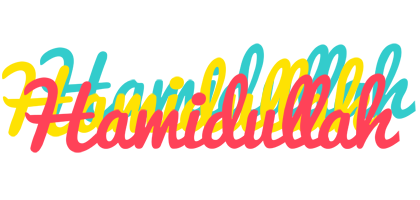 Hamidullah disco logo