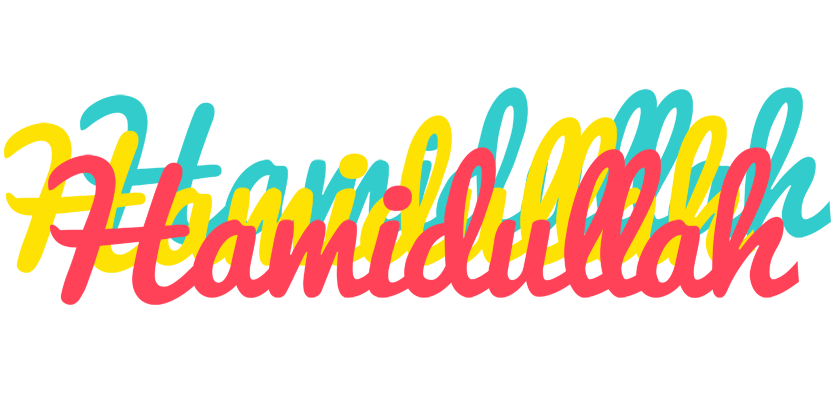 Hamidullah disco logo