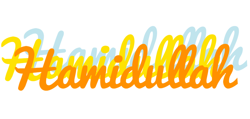 Hamidullah energy logo